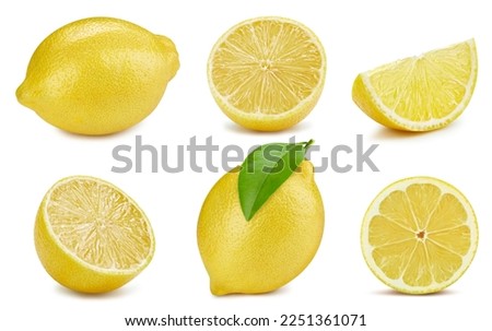 Lemon with leaves on the white background. Lemon collection isolated clipping path. Lemon macro studio photo