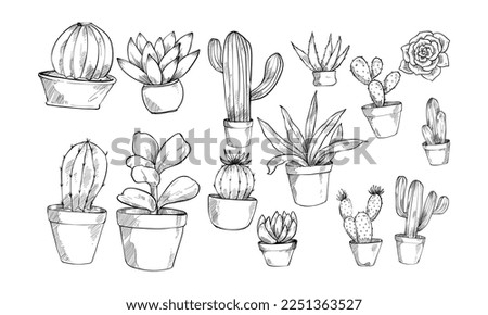 succulent plant handdrawn collection engraving