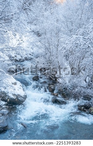 View of the snow forest rivers. Winter forest river landscape. Snowy river scene. In the area of the Saut Deth Pish waterfall during autumn and a snowy day, located in the Aran Valley, Pyrenees Royalty-Free Stock Photo #2251393283