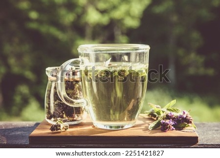 Prunella vulgaris (known as common self-heal, heal-all, woundwort, heart-of-the-earth, carpenter's herb, brownwort and blue curls herbal tea with dry and fresh herb. Vintage picture style.