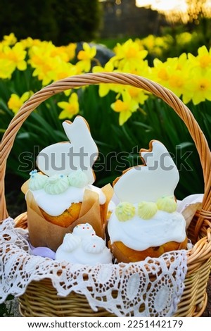 A wicker basket with Easter cakes with gingerbread decor in the form of an Easter bunny and white glaze on a background of yellow daffodils. The concept of the Easter holiday. Easter picnic in spring