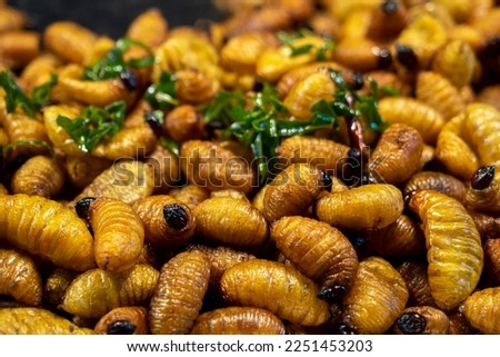 Strange food, weird food. deep fried insects, local street food in night market, thailand. Pupa, silkworm fried food, fried insect larvae snack as exotic in Asia, Thailand. insects protein snacks.