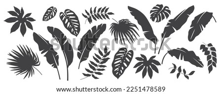 Abstract foliage elements isolated on a white background. Tropical leaves set. Collection of black and white graphic silhouettes. 