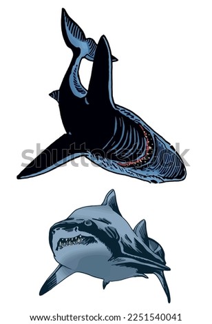Vector set of blue sharks on white isolated, color illustration,underwater marine life
