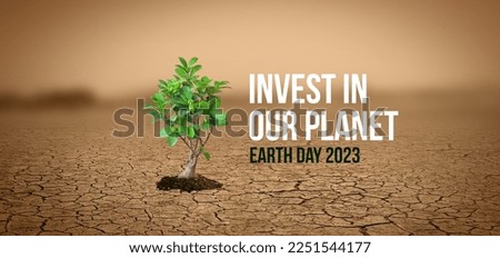 Plant in dried cracked mud concept banner.  Earth day 2023 concept background. planet concept background.  Royalty-Free Stock Photo #2251544177