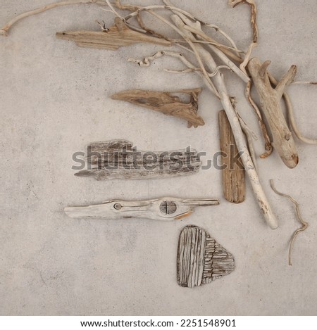 Sea beach driftwood on stone background. Pieces of sea drift wood. Bleached dry aged drift wood.  Royalty-Free Stock Photo #2251548901