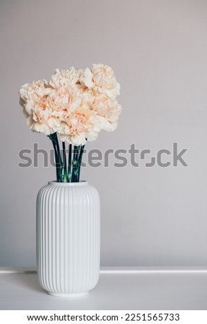 Beautiful bouquet of fresh carnation flowers in full bloom in vase against white background. Minimalistic floral spring still life. Copy space for text.