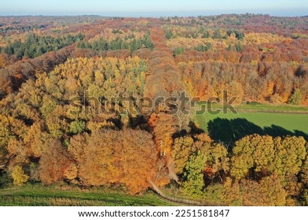 High angle view of meadows in an autumn forest