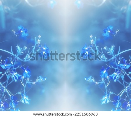 Symmetrical Blue Lobelia flowers. Abstract  Flowers as a background. Ourdoor. Summer time. Web banner