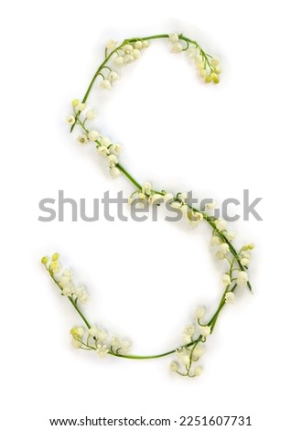 Letter S of white flowers Lily of the valley ( Convallaria ) on a white background. Top view, flat lay