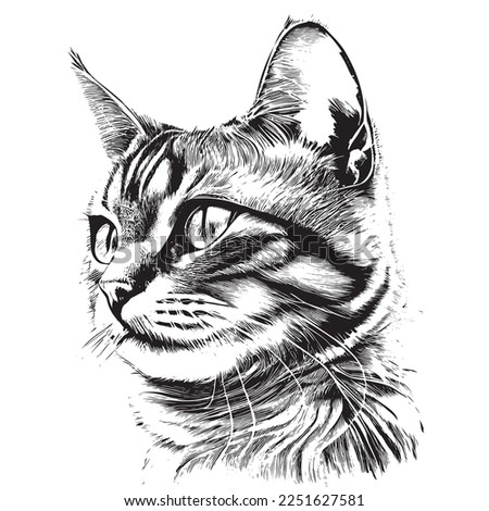Cute cat portrait hand drawn sketch engraving style Vector illustration.