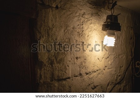 An incandescent light bulb dimly illuminating a whitewashed brick wall and an old doorway in a dark creepy basement