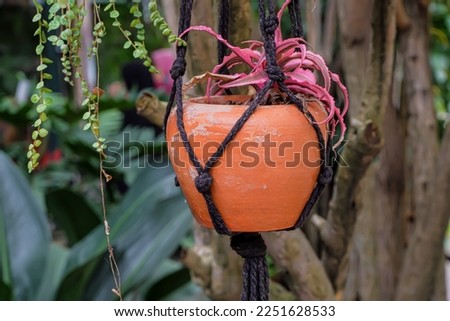 A pretty hanging clay pot with a plant in it in a garden