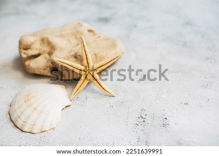 Starfish, seashell on a white background. Summer vacation concept. Flat lay. Copy space.
