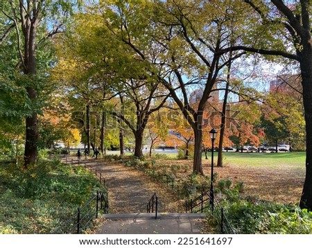 View from above of a long path with stairs curving through the trees from St. Nicholas Terrace to St. Nicholas Avenue and 135th Street in historic St. Nicholas Park, Harlem, New York City Royalty-Free Stock Photo #2251641697