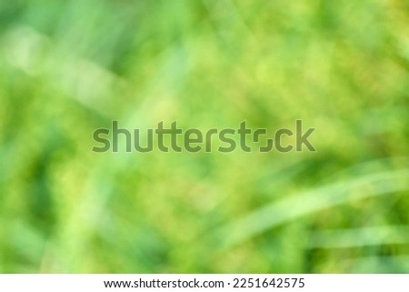 Green yellow natural blurred bokeh background