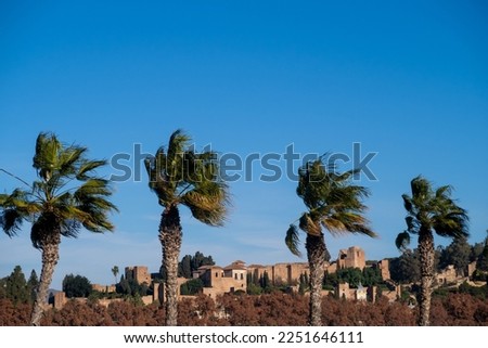 view of the citadel of Malaga surrounded by palm trees under a blue sky; old arabic city palace castle built on a mountain
