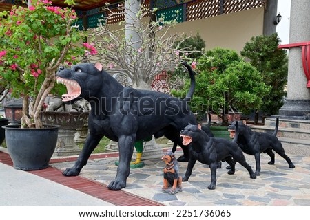 Statues of black American pit bull terriers roaring in the park inside a Thai Chinese temple at Thailand.