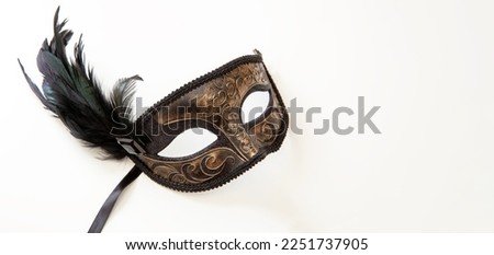 Carnival mask brown color with black feather decoration isolated on white background
