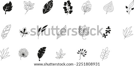 Outline twigs and sprigs floral embellishments. Linear isolated vector plant branches with leaves, monochrome forest herbs, natural elements for design of wedding cards and invitations