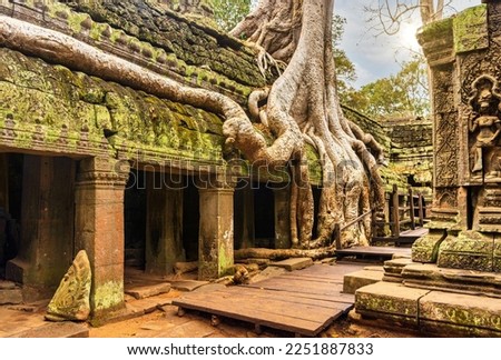 Roots of a giant tree growing over the ancient ruins of Ta Prohm temple in Angkor Wat, Siem Reap, Cambodia Royalty-Free Stock Photo #2251887833