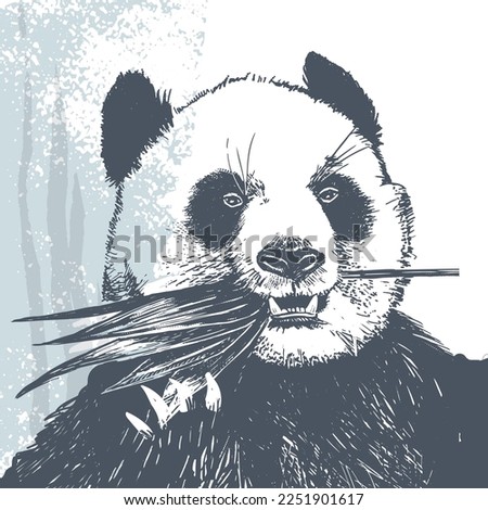 Realistic ink sketched panda. Isolated vector illustration