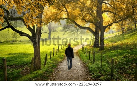Man walking through the beautiful countryside, with green meadows and autumn trees surrounding the scenic pathway  Royalty-Free Stock Photo #2251948297