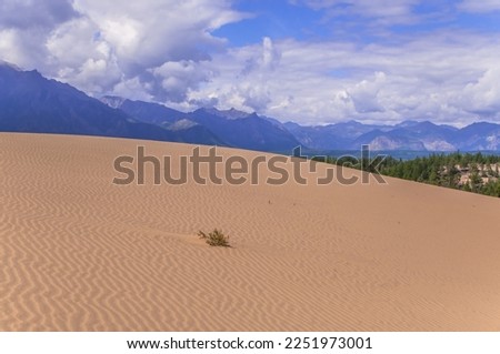 The most northern desert of the world - Chara desert of Zabaykalsky krai of Russia Royalty-Free Stock Photo #2251973001