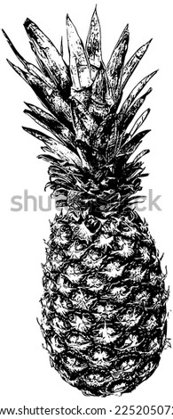 Whole pineapple vector illustration in black 