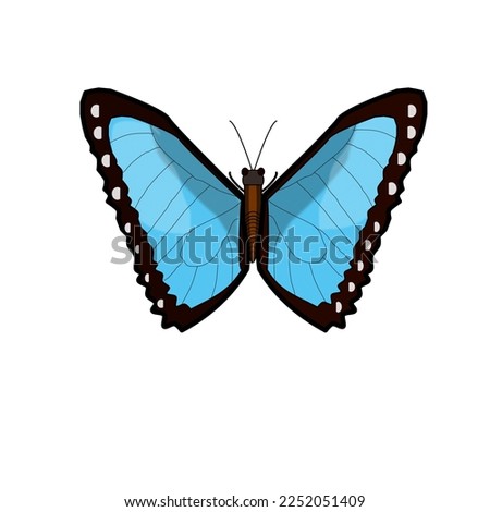 Blue butterfly with some shadings