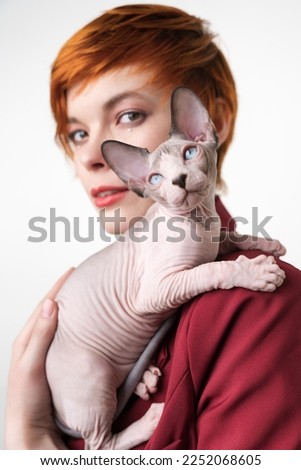 Playful Sphynx Hairless kitten looking up, sitting on shoulder redhead young woman with short hair. Selective focus on domestic cat, shallow depth of field. Studio shot, white background. Part series Royalty-Free Stock Photo #2252068605