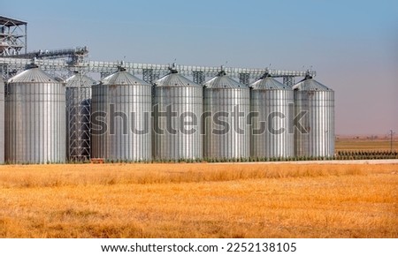 Agricultural Silos for storage and drying of grains, wheat, corn, soy, sunflower - Beautiful landscape of sunset over wheat field at summer