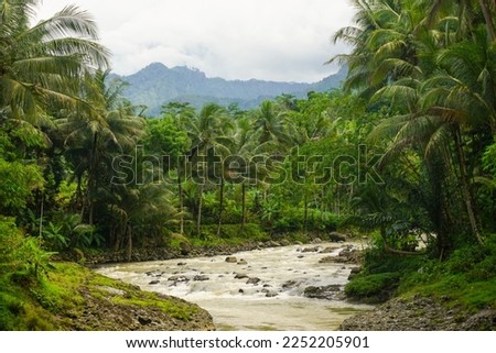 Stock photo of Indonesian natural scenery with green rice fields and forest in the morning sun