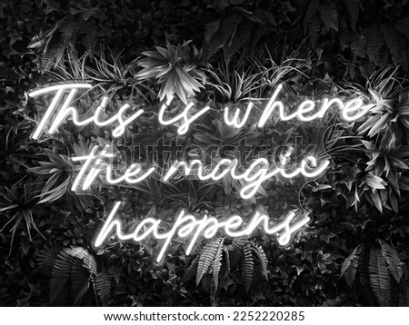 " This is where the magic happens " neon sign with plant background