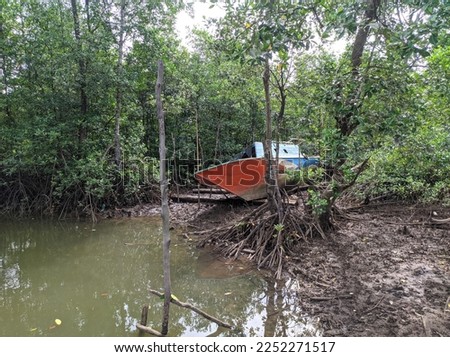 there is a boat in the middle of the mangrove forest on the river bank