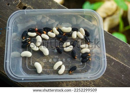 Stock photo of pea seeds in a sack, top view