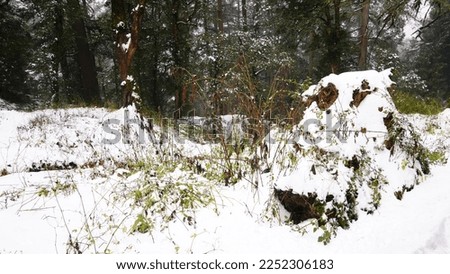 view of heavy snowfall image