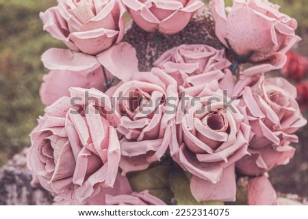 Antique gravestone covered with roses. Still life photo.