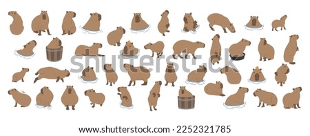 capybara collection 1 cute on a white background, vector illustration. capybara is the largest rodent. Royalty-Free Stock Photo #2252321785