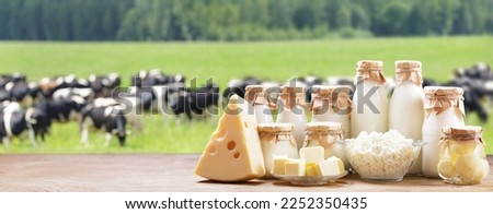 Dairy products. Bottles of milk, cheese, cottage cheese, yogurt, butter on a wooden table on meadow of cows background Royalty-Free Stock Photo #2252350435