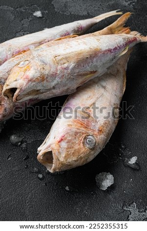 Frozen red mullet or barabulka raw fish set, on black dark stone table background