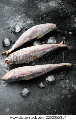 Frozen mullet or sultanka fish set, on black dark stone table background