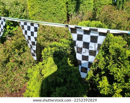 Racing flags stretched across a hedge on the side of a roadway.