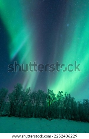 aurora borealis northern lights winter landscape