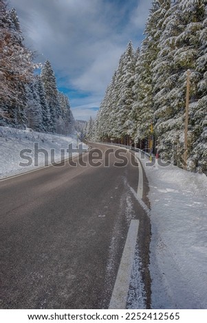 Cansiglio plateau, province of Belluno. A splendid panorama between snow, trees and blue sky. January 21, 2023