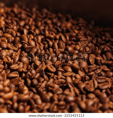 Fresh roasted coffee beans for espresso, brown background.