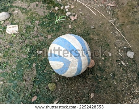 the ball that lies on the ground is blue and white