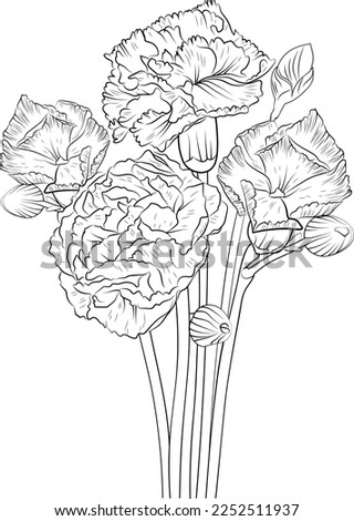 Sketch of carnation flower illustration hand-drawn botanical leaf buds isolated on white, spring flower and ink art style, botanical garden element, flower coloring page for adults.