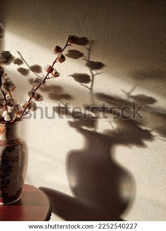Interior photo. Chinese porcelain vase. Cotton branches. Cotton boxes. Embossed shadows on a white wall. Coffee table. Inside. The atmosphere of comfort. Royalty-Free Stock Photo #2252540227