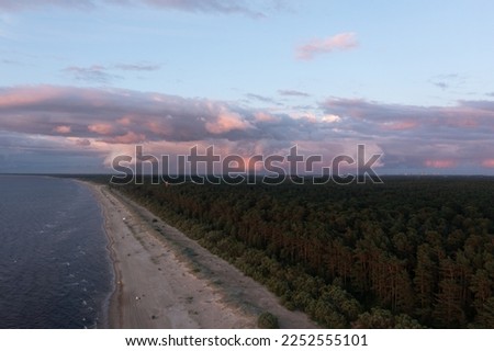  an aerial view of a beach and trees at dusk with a pink sky above it and a line of trees on the beach in the foreground, and a beach in the foreground. . 